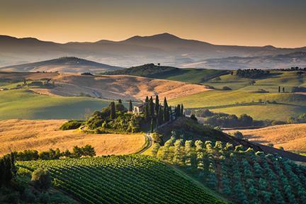 Colinas salpicadas de campos y bosques que dan identidad a una de las más bellas regiones de Italia, la Toscana
