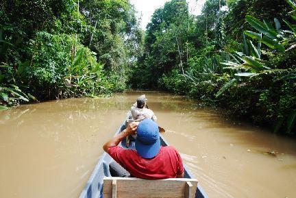 Paseo en canoa por el río Amazonas