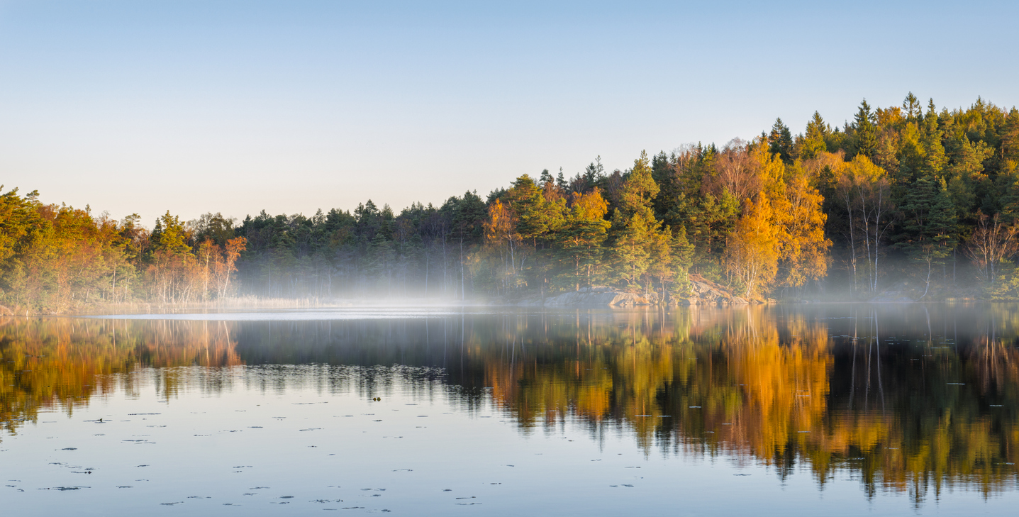 Lago sueco con bruma otoñal